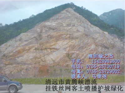 清远黄腾下漂流绿化工程 